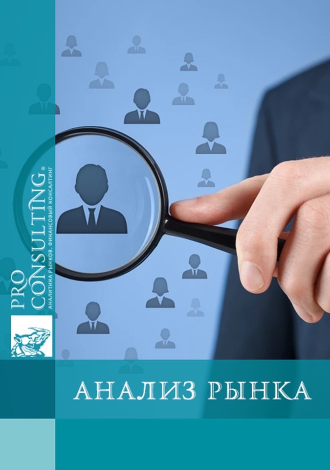 Исследование по сравнению социально-экономического состояния выбранных громад Винницкой области. 2025 год